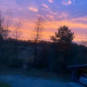 Meet your Posher, Mia